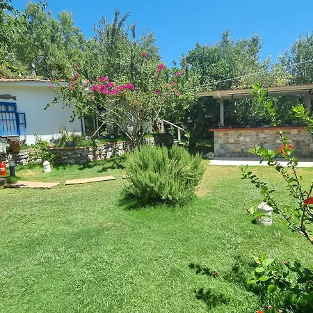 Lemon Garden Boutique Hotel