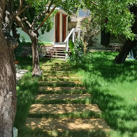 Lemon Garden Boutique 보즈부른