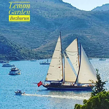 Lemon Garden Boutique 호텔 보즈부른