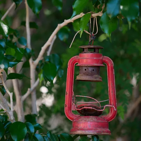 Lemon Garden Boutique 보즈부른