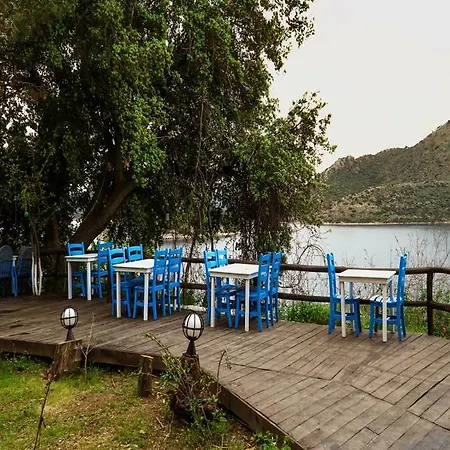 Lemon Garden Boutique