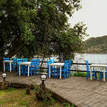 Hotel Lemon Garden Boutique 3*