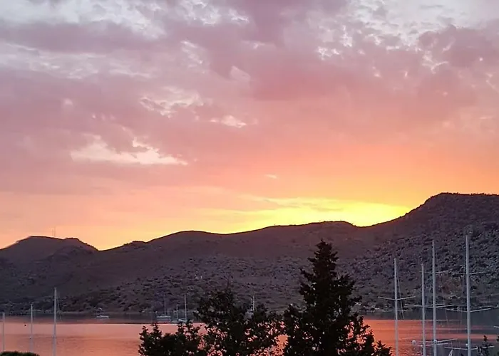 Lemon Garden Boutique 3*