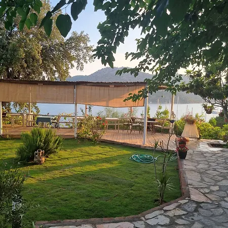 Lemon Garden Boutique Hotel 3*