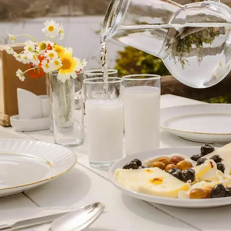 Hotel Lemon Garden Boutique Bozburun