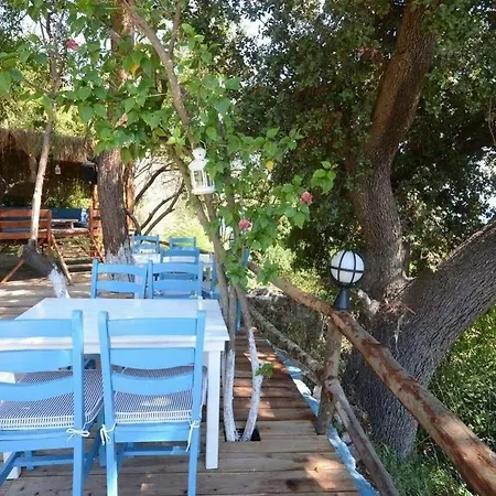 Hotel Lemon Garden Boutique *