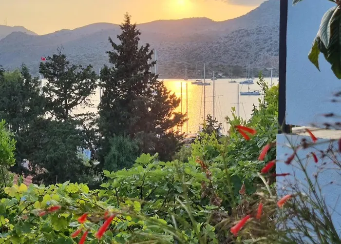 Ξενοδοχείο Lemon Garden Boutique