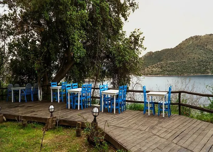 Lemon Garden Boutique