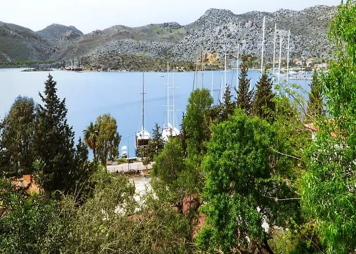 Lemon Garden Boutique